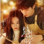 Timeless Love: o poder do amor que desafia o tempo